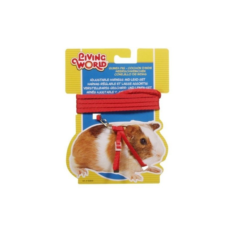 Harness + Cobaya vermelha Cinto de cinto