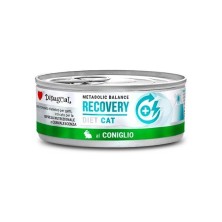 Disugual Diet Cat Wet Recovery Conejo 85 gr