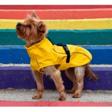 Impermeable London Amarillo para Perros