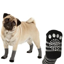 Calcetines para Mascotas de Rayas (Pack 4 uds.)