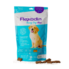 Flexadin Puppy Maxi