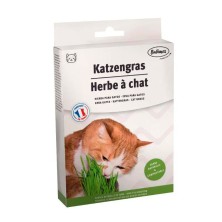 Grama para Gato 100 GR