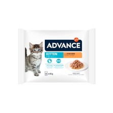 Advance Cat Wet Kitten Chicken