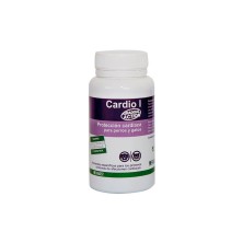 Stangest Cardio I 60 CPD