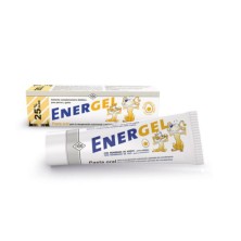 Fatro Energel Pasta Complemento para Perros 100 Gr