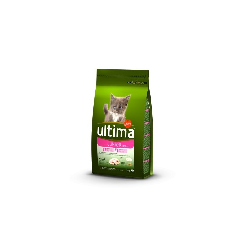 Último Gato Júnior 1,5 Kg