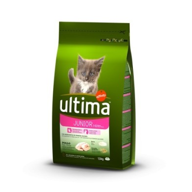 Último Gato Júnior 1,5 Kg