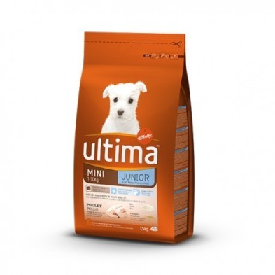 Última Mini Cão Júnior 1,5 Kg