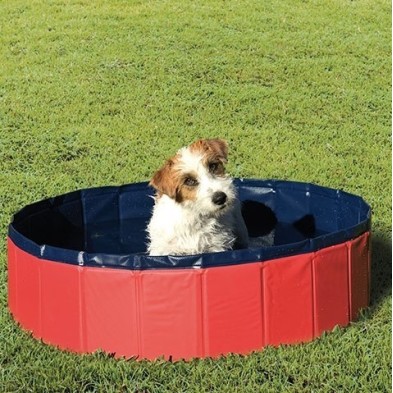 Piscina para cães Ibáñez Talla S