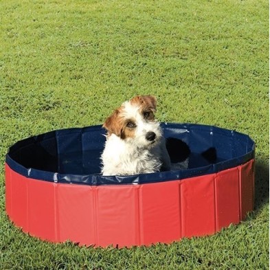 Piscina para Perros Ibáñez Talla M