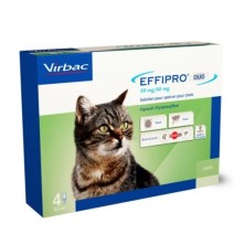 Effipro Duo Pipetas para Gatos 4 Unidades