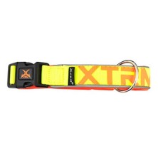 Collar X-TRM Neón Flash Amarillo Limón