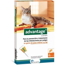 Advantage 40 Pipeta para Gatos de hasta 4 Kg