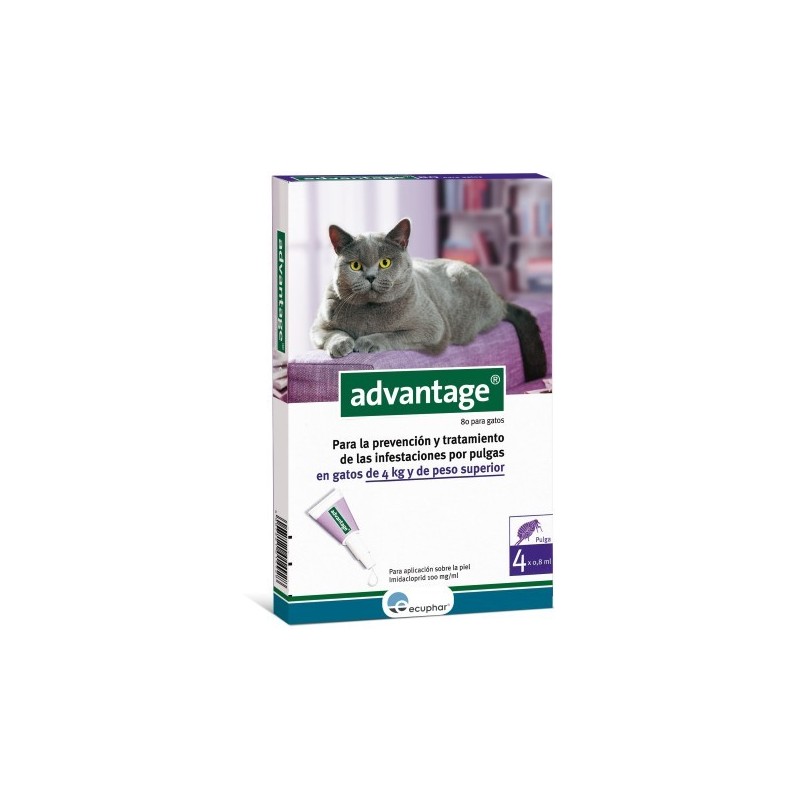 Advantage 80 Pipeta para Gatos de más de 4 Kg