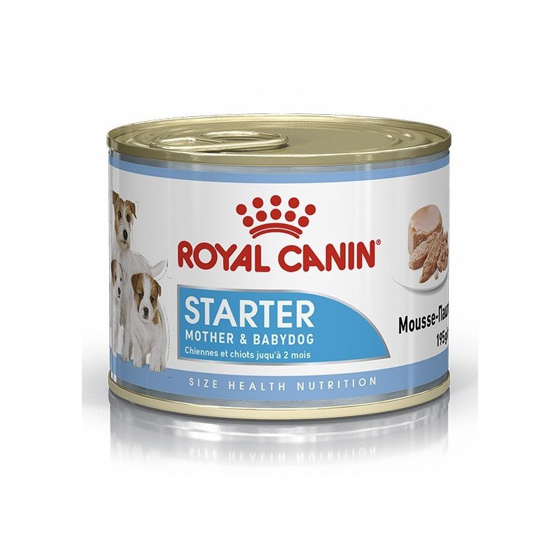 Royal Canin Starter Mousse Babydog 195 Gr