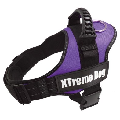 Arnés Xtreme Dog Lila